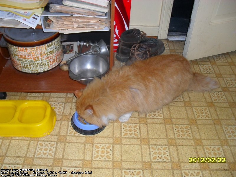 Its dinner time for Rusty   Boy, is he friendly....Feb 2012