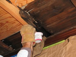 Buzz applying epoxy to areas of damaged wood 