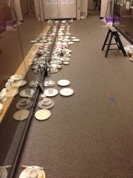 The china is laid out in position of where it will be displayed - Photo by Michael McCraren