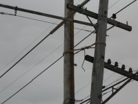 Old broken pole lashed to new pole