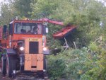 Tom Trimming trees to clear 4 mile siding.