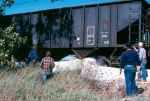 Highlight for Album: 1985 Assoc.of Railway Musems Convention at IRM