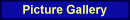 Picture Gallery