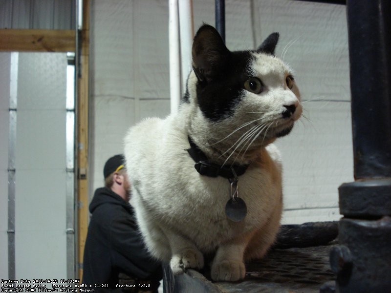 DSC02627.JPG