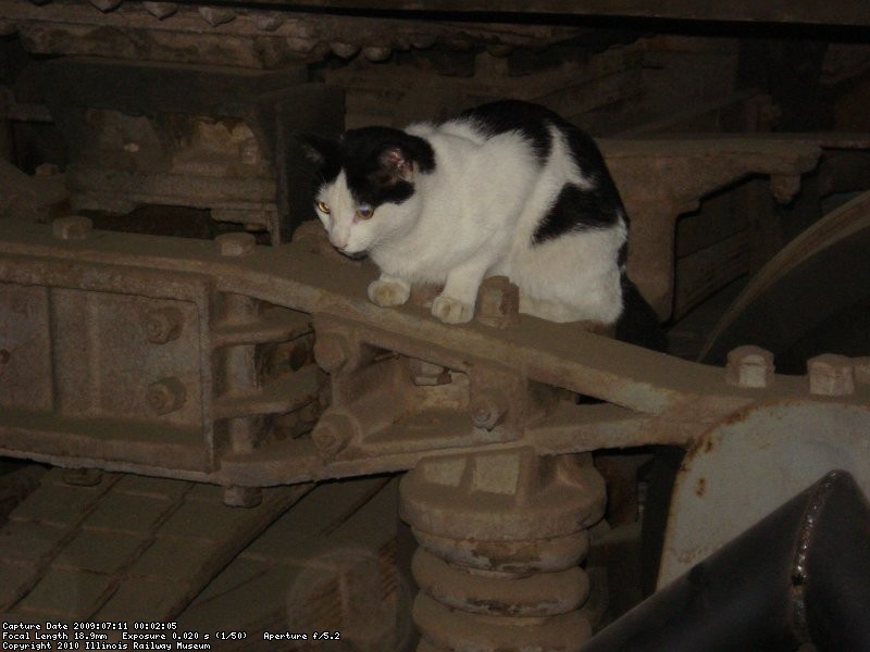 DSC06011.JPG