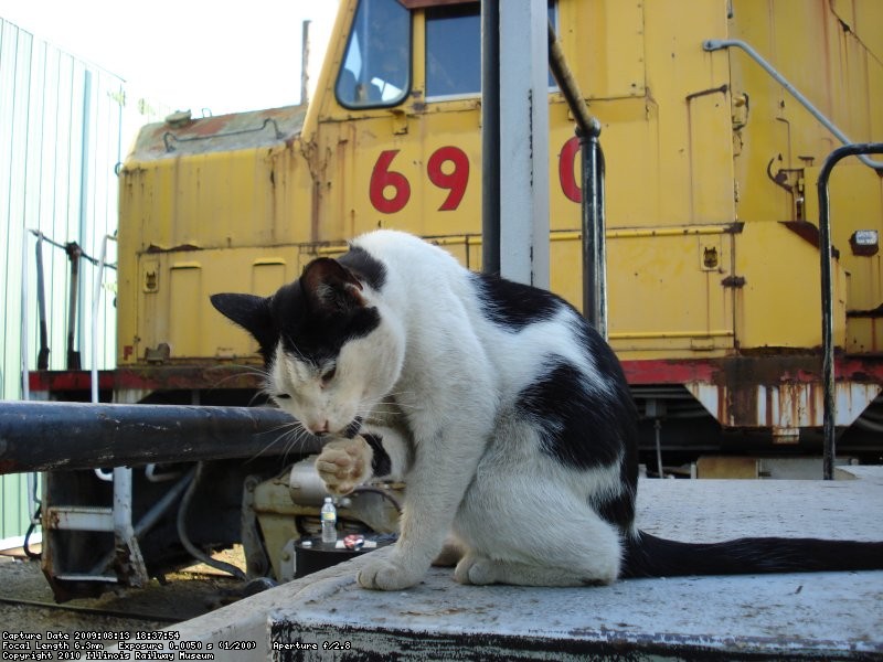 DSC06531.JPG