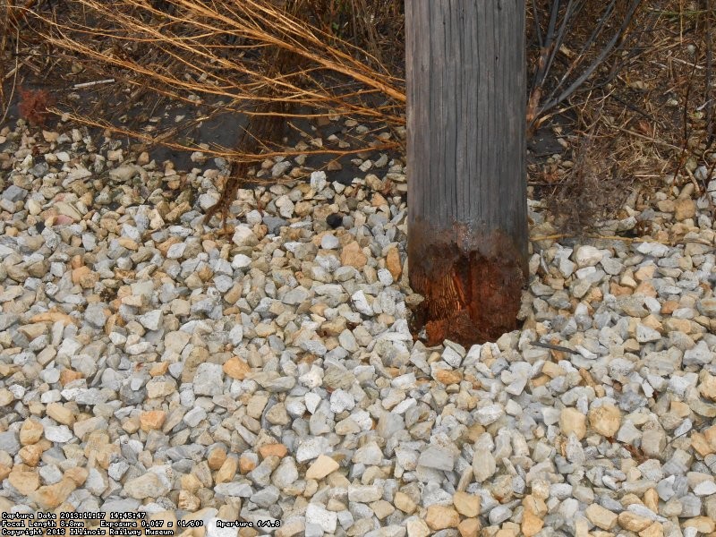 The poles were installed in 1965.  All were rotted at the ground line.