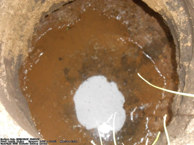 Test hole. High water table problem was solved by using concrete pipe as a casing which kept the walls of the pole holes from caving in.