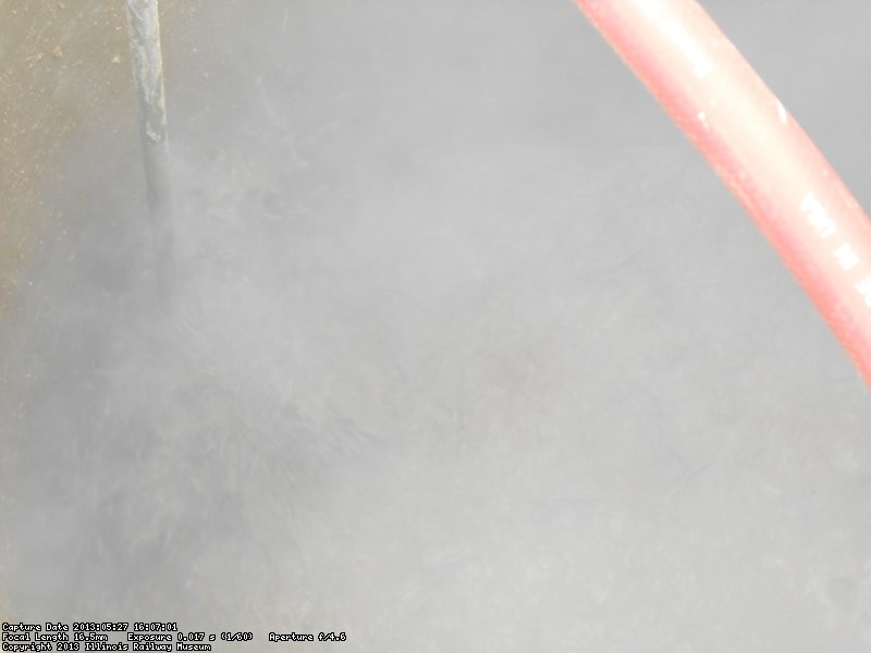 Blow pipe in use.  The compressed air coming out of the end of the pipe makes the wet sandy gravel boil allowing the concrete pipe to sink.