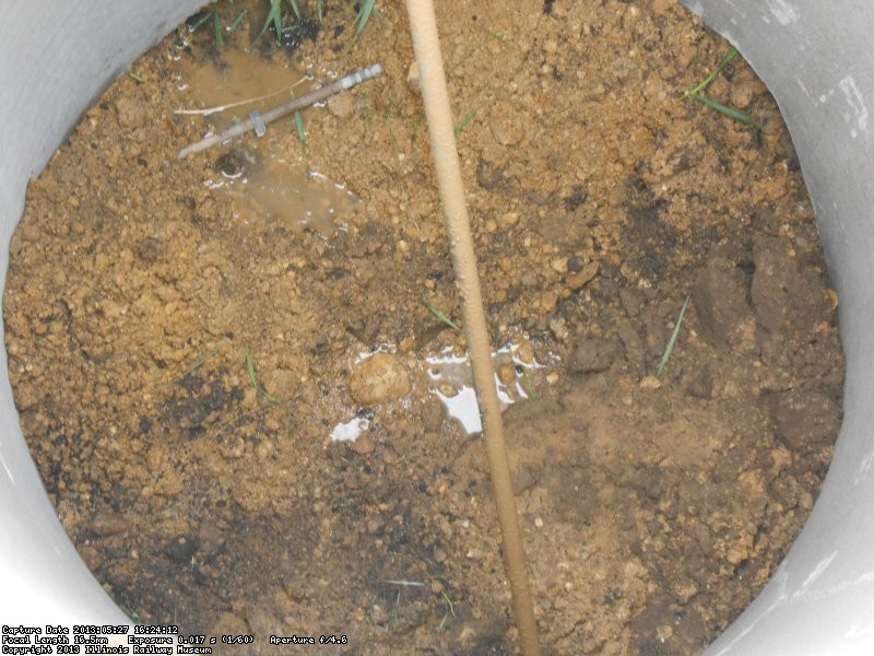 After pipe is "bubbled down".  The "soup" is dug out providing a clean hole for setting the steel strain pole.