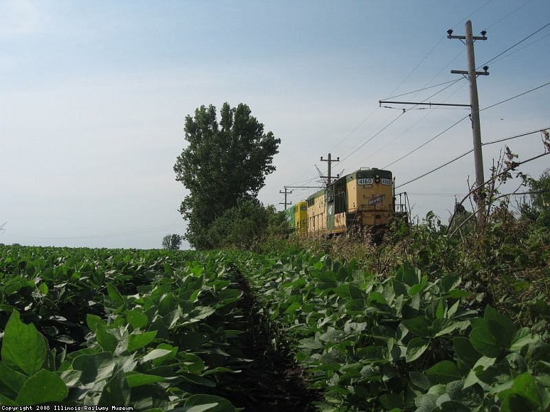 A lot of beans this year