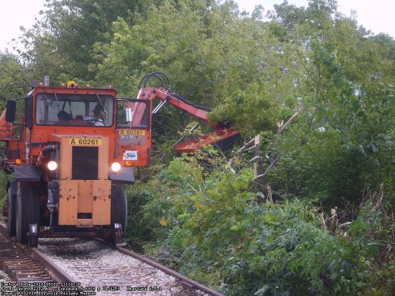 Cutting brush, turning trees into mulch...