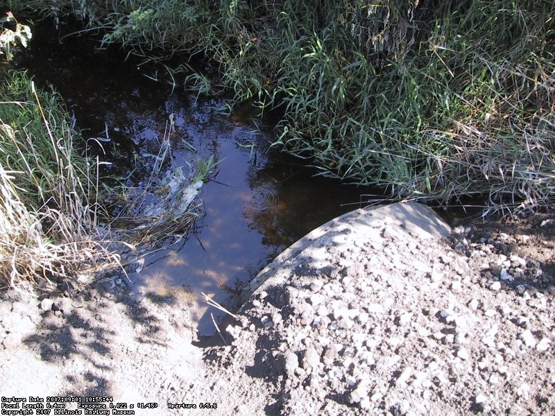 Water still flowing out the north end, half way up the pipe.