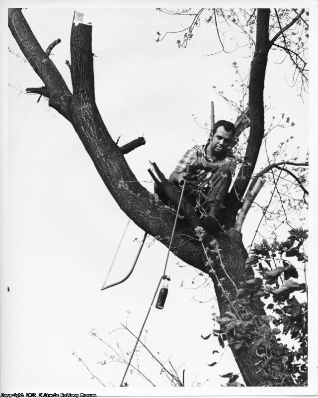 File0015.jpg