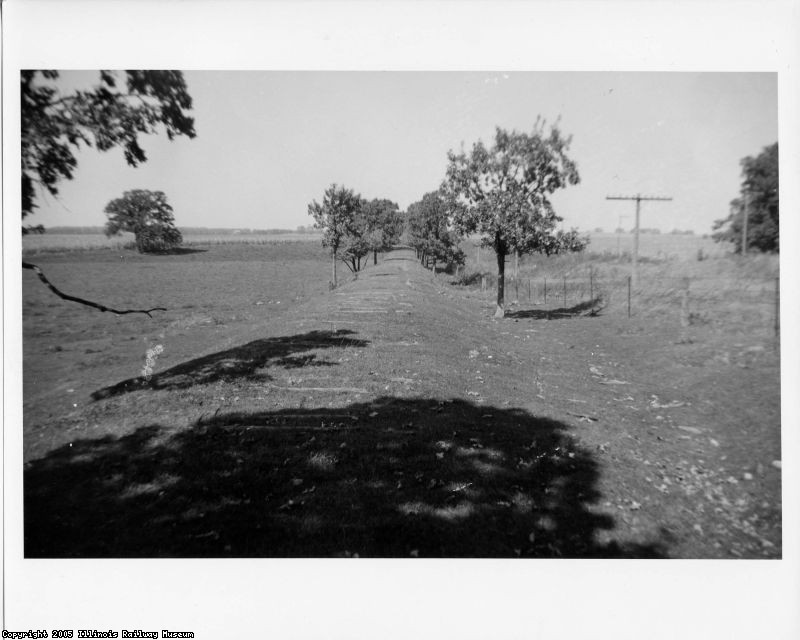File0098.jpg