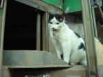 DSC00834.JPG DSC00834.JPG