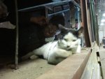 DSC00927.JPG DSC00927.JPG