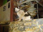 DSC00932.JPG DSC00932.JPG