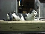 DSC01253.JPG DSC01253.JPG