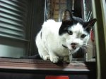 DSC02799.JPG DSC02799.JPG