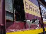 DSC03395.JPG DSC03395.JPG