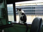 DSC03427.JPG DSC03427.JPG