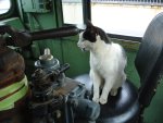 DSC03429.JPG DSC03429.JPG