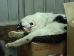 DSC05630.JPG DSC05630.JPG