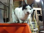 DSC05190.JPG DSC05190.JPG