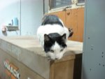 DSC05195.JPG DSC05195.JPG