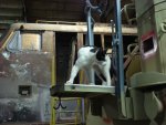 DSC06003.JPG DSC06003.JPG