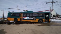 Seattle Gillig 4123 officailly arrives at IRM 10:15am 11/25/2015.