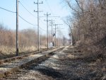 Brush cut on the mainline looking toward Four Mile Siding.  visibility has been greatly improved