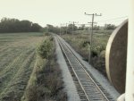 Karsten's Crossing looking West BEFORE brushcutting