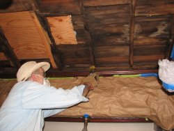 Ceiling down in Ely shows worst deterioration spot in the dining room