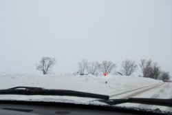 Snow bank so high the mailbox is flagged