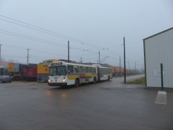 This Trolley bus was acting as a shuttle for visitors - Photo by Brian LaKemper