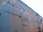 Highlight for Album: AMERICAN BEEF PACKERS - URTX 75524