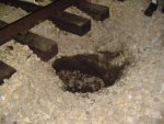 Hole Opened up under mainline, dug out and filled with stone. Hole Opened up under mainline, dug out and filled with stone.