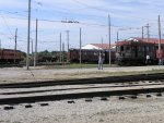 P9192695.JPG