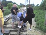 IRM 486.jpg IRM 486.jpg