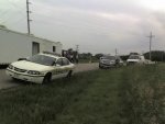 IRM 491.jpg IRM 491.jpg