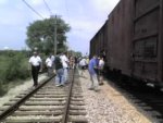 IRM 462.jpg IRM 462.jpg