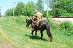 There was lots of Horsing around today!