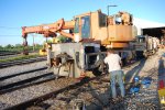 Washing the burro.