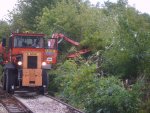 Cutting brush, turning trees into mulch...