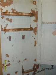 SDC10531