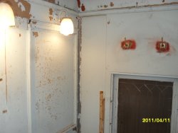 SDC10532