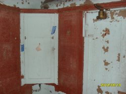 SDC10802