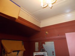 DSCN1955